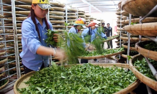 Pakistan - Thổ Nhĩ Kỳ ký Hiệp định ưu đãi thương mại, xuất khẩu của Việt Nam sẽ bị tác động ra sao?