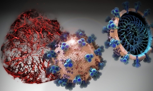 Đi tìm “lỗ hổng” của virus để đưa ra phương pháp điều trị Covid-19 mới