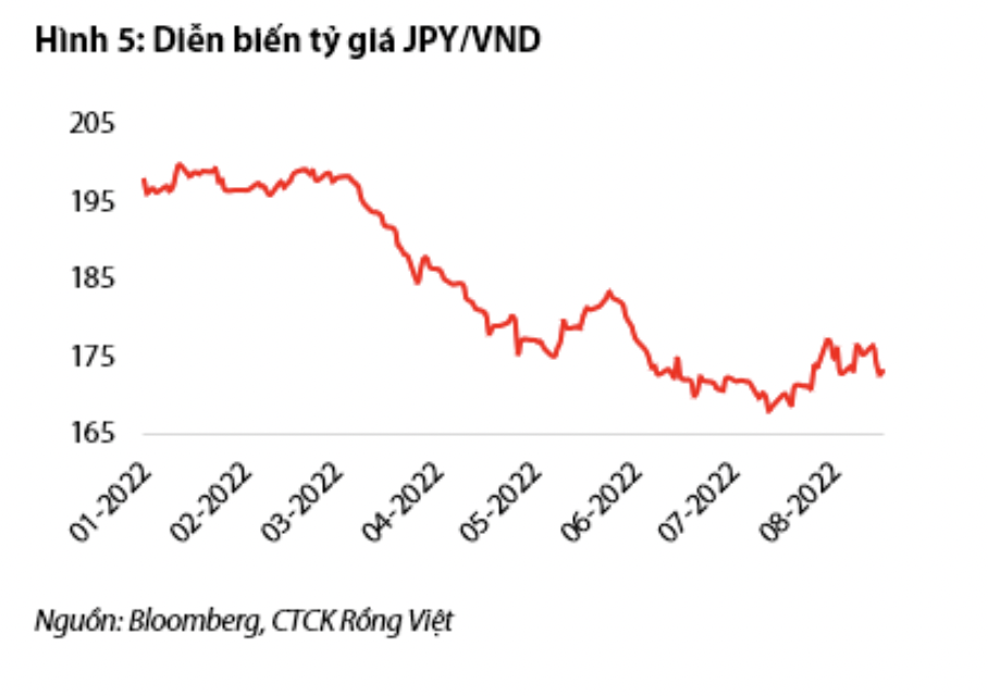 VnEconomy