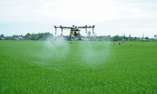 Chuẩn hóa quy định ứng dụng thiết bị bay phun thuốc bảo vệ thực vật