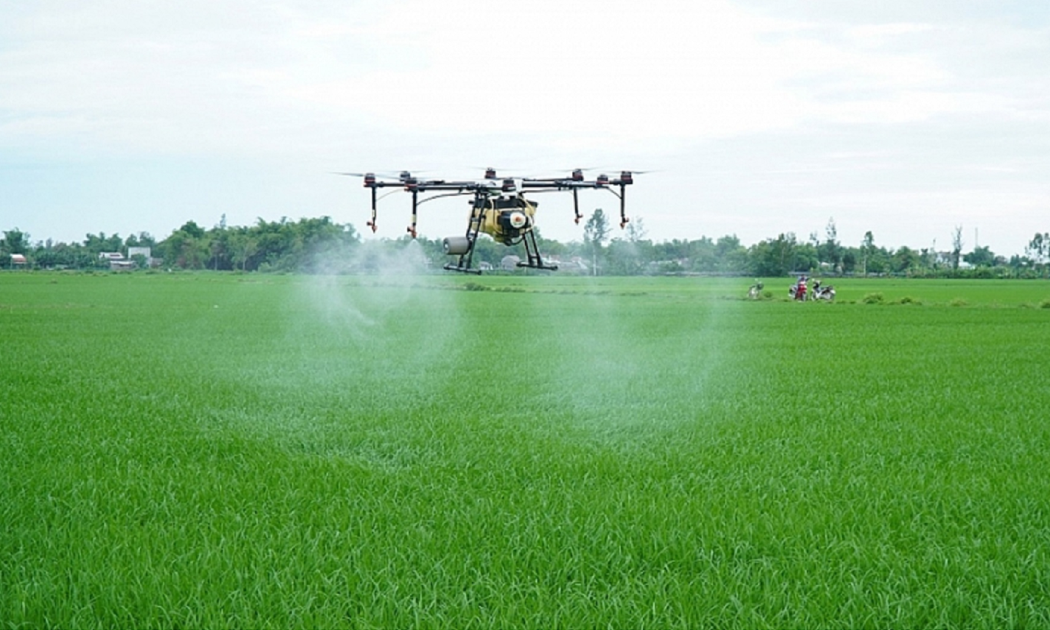 Phun thuốc bằng UAV nhiều tiện lợi.