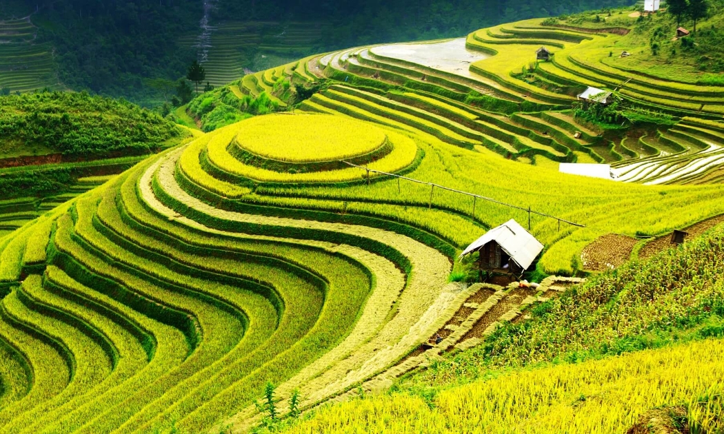 Ảnh minh họa