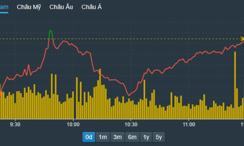 Cầu bắt đáy hoạt động tốt, VN-Index leo trở lại sát tham chiếu