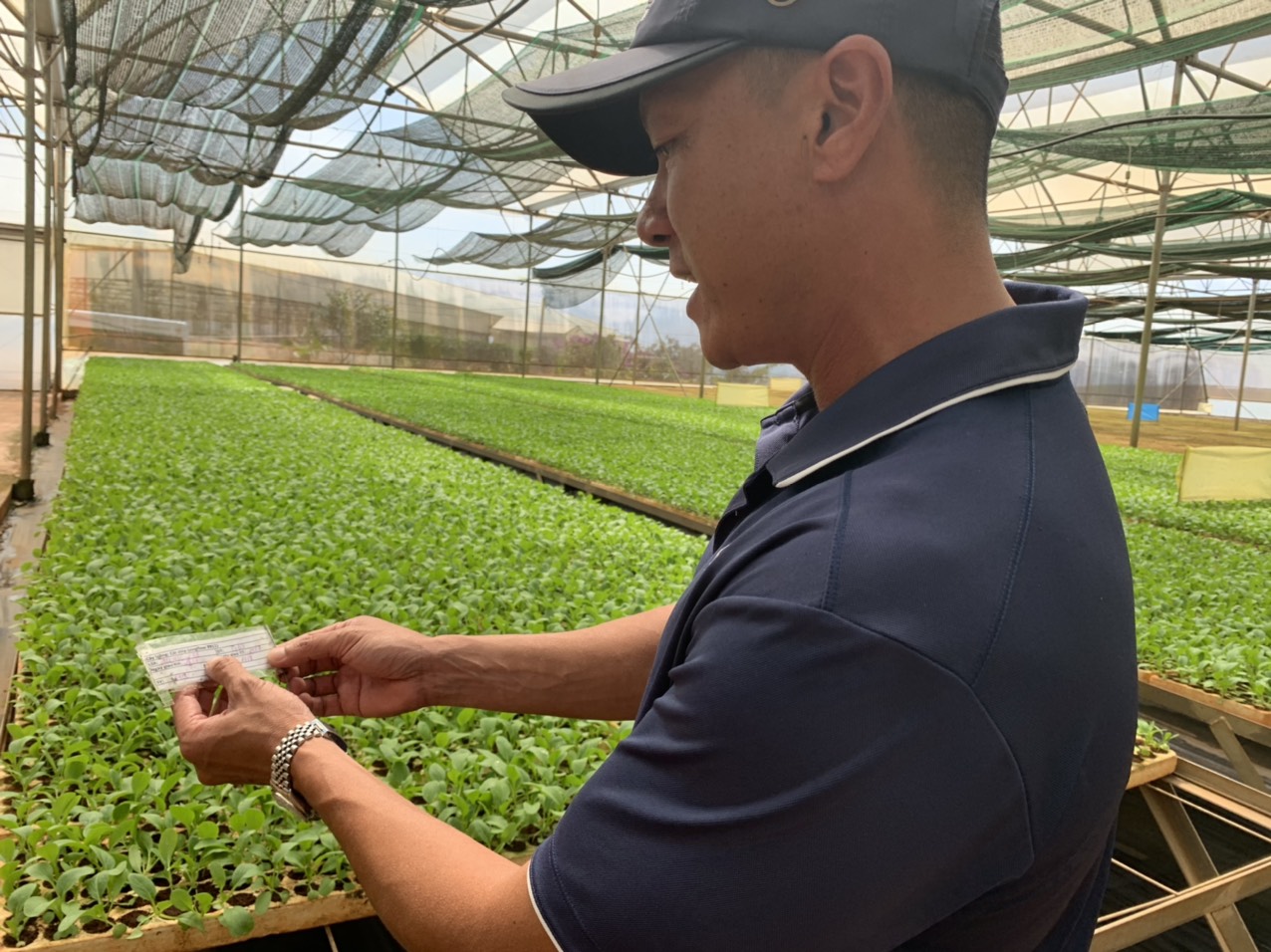 Anh Vũ Anh Tuấn Giám đốc Trang trại WinEco Đà Loan, Đức Trọng, tỉnh Lâm Đồng 