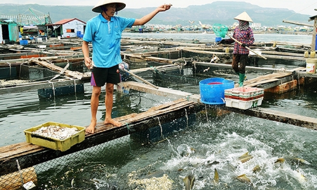 Nuôi trồng thủy sản khó đáp ứng quy chuẩn về nước thải.