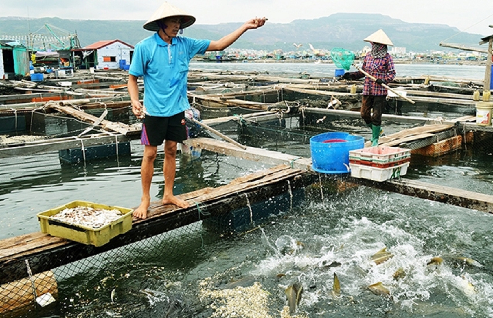 Nuôi trồng thủy sản khó đáp ứng quy chuẩn về nước thải.