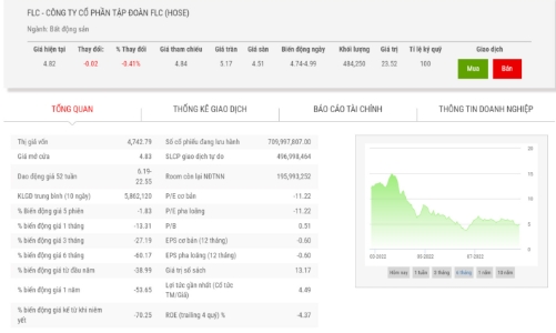 HOSE lại nhắc cổ phiếu FLC tiếp tục đối mặt với khả năng bị đình chỉ giao dịch