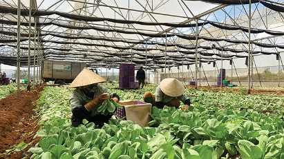 High-tech agriculture still problematic for farmers