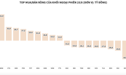 Dứt mạch bán ròng, khối ngoại trở lại gom nhóm blue-chips hơn 100 tỷ