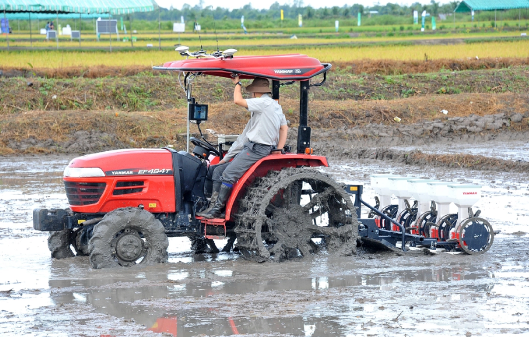 Trình diễn là phẳng mặt ruộng.