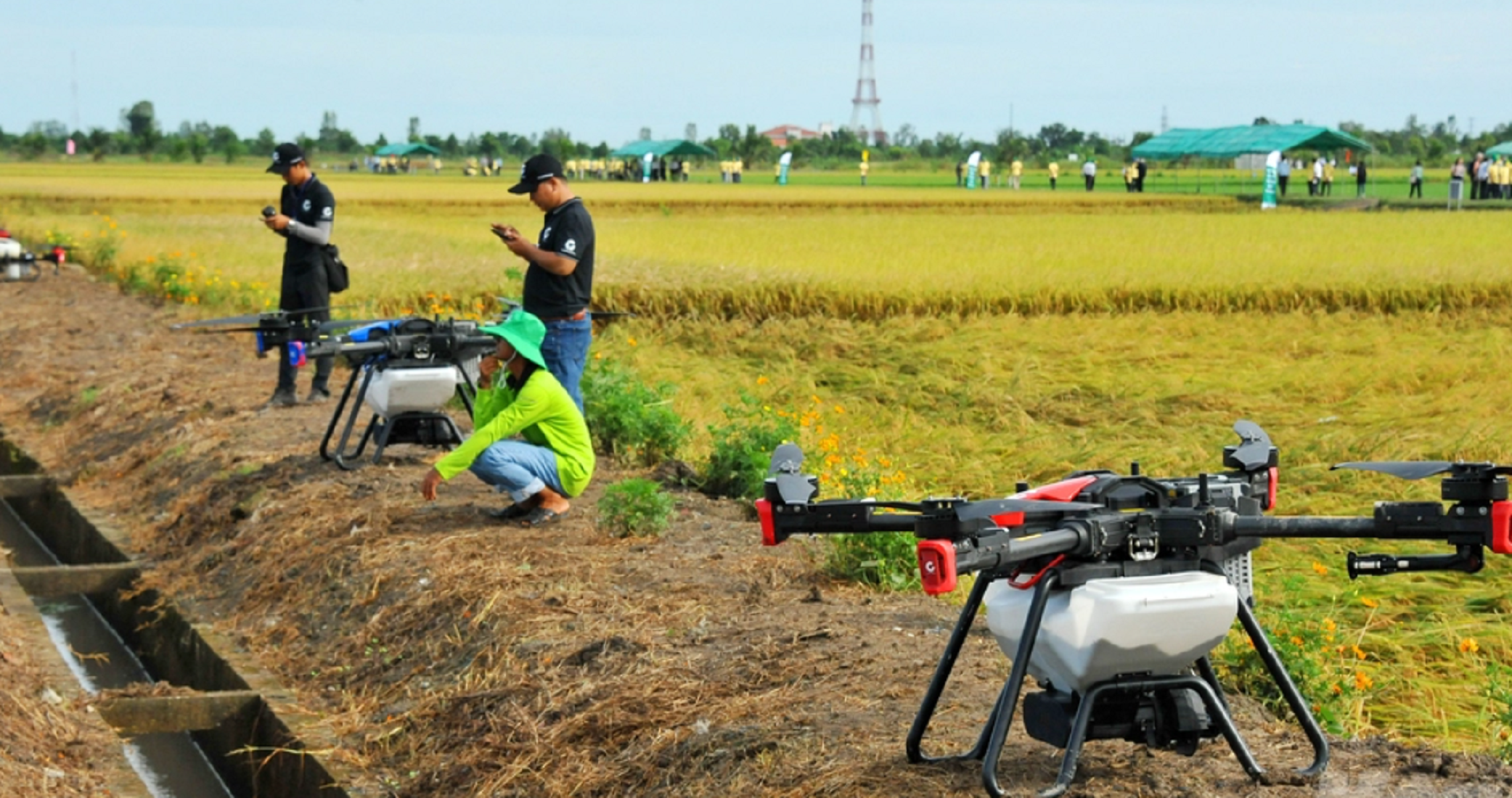 Tr&igrave;nh diễn m&aacute;y bay kh&ocirc;ng người l&aacute;i phun thuốc bảo vệ thực vật