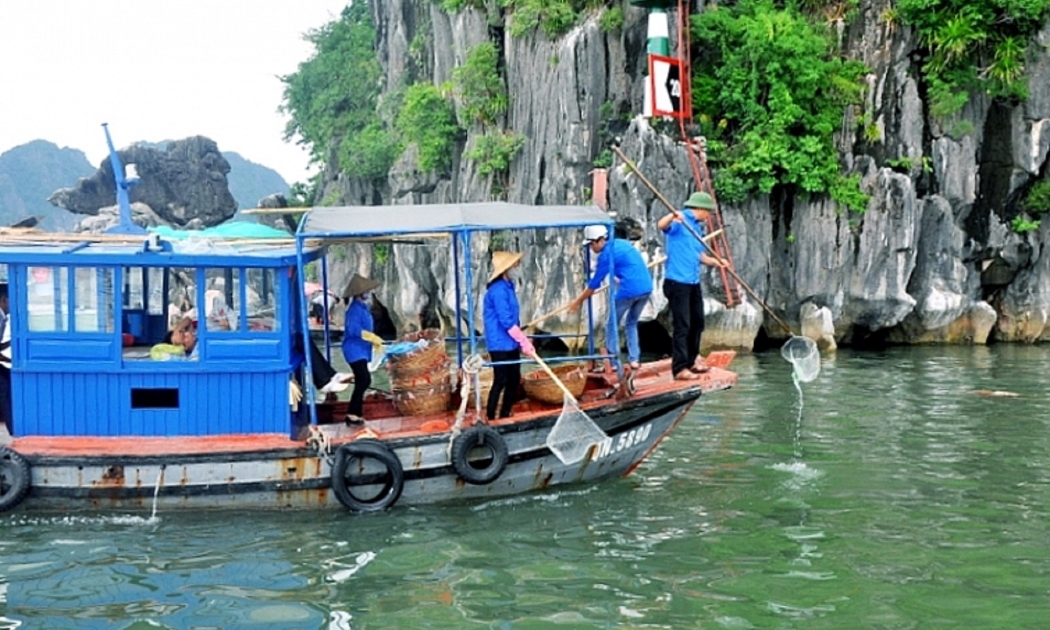 Thu gom rác thải nhựa trên Vịnh Hạ Long.