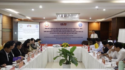Vietnam & Laos strengthen cooperation in social security