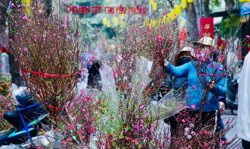 Đề xuất hai phương án nghỉ Tết Nguyên đán 2023 