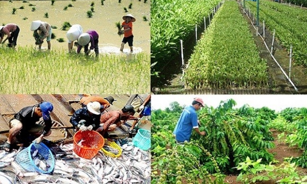 Chăn nuôi và nuôi trồng thủy sản được giá.