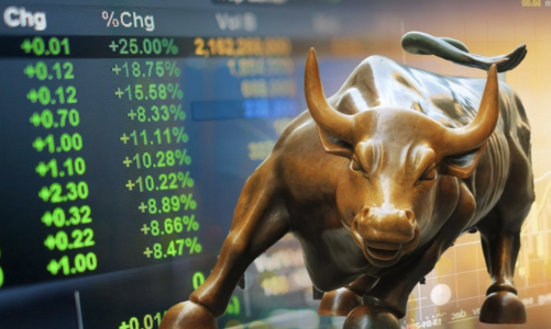 Pyn Elite Fund lạc quan về “phong thủy” chứng khoán năm con Mèo