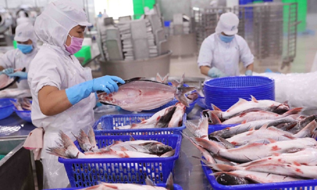 Mặt hàng thủy sản xuất khẩu sang Nhật Bản trong 7 tháng năm 2022 đạt 951,4 triệu USD, tăng 18,7% so với cùng kỳ năm 2021.