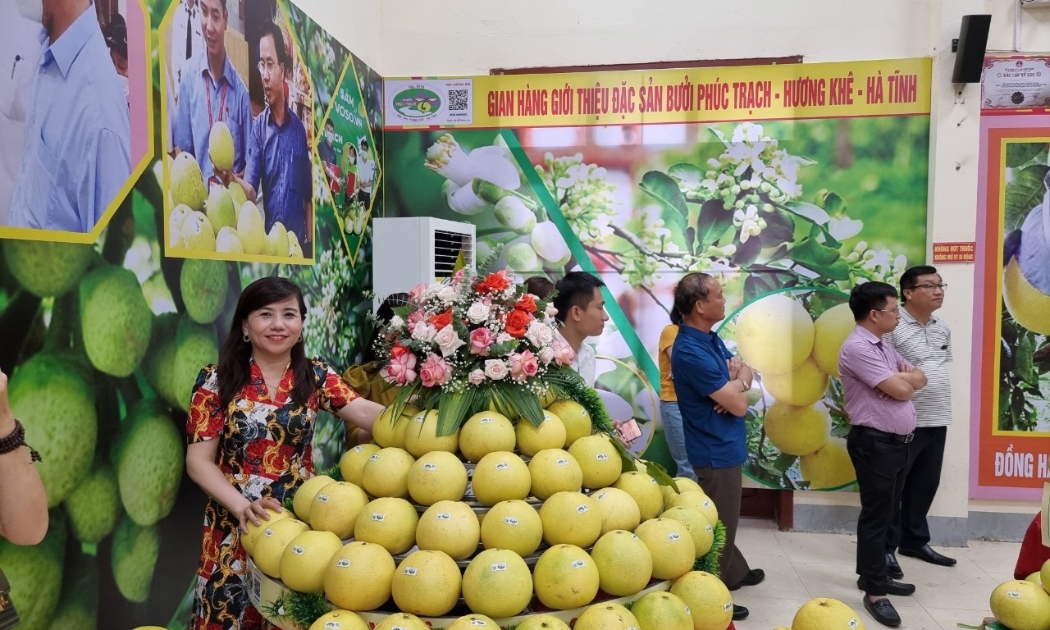 Bưởi Phúc Trạch đã được Cục Sở hữu trí tuệ cấp giấy chứng nhận đăng ký chỉ dẫn địa lý.