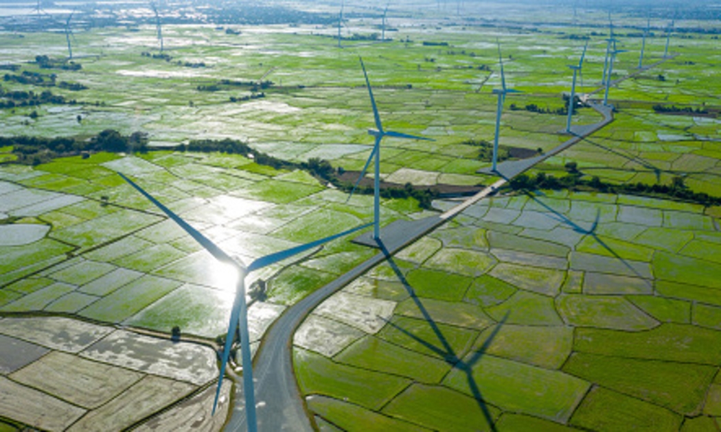 Nguồn: McKinsey & Company.