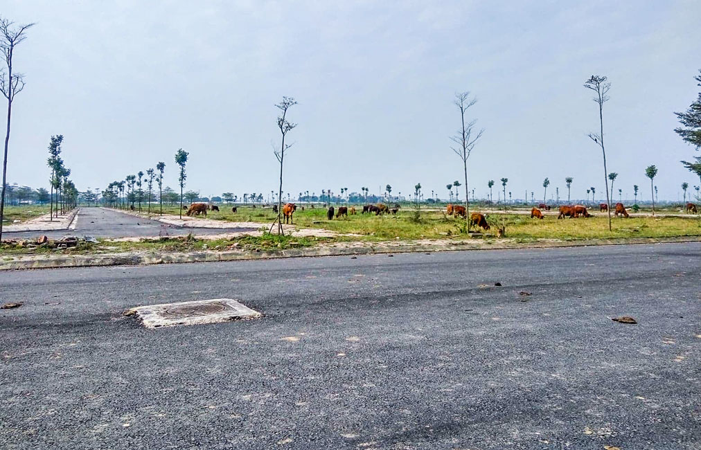 Sẽ xem xét dùng thuế lũy tiến để đánh vào đất, dự án trúng thầu, đấu giá nhưng chậm đưa vào sử dụng
