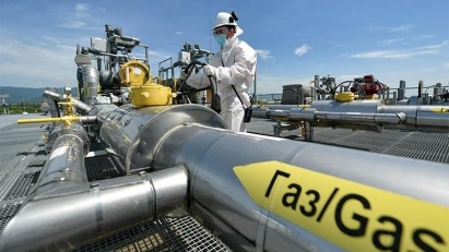 VnDirect sees local winners from problems in EU and China