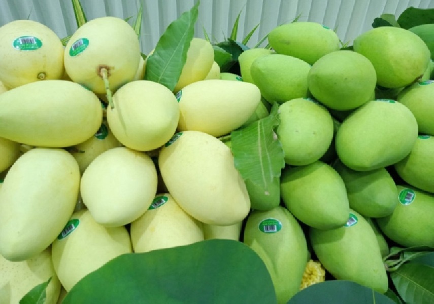 Trung Quốc nhập 80% xoài từ Việt Nam.