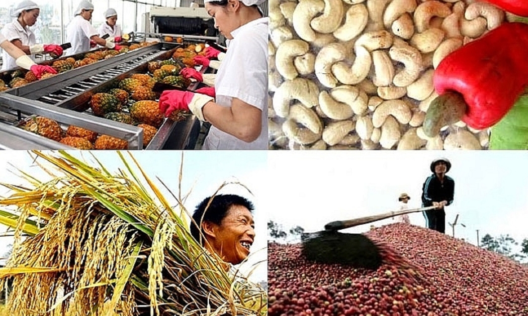 Xuất khẩu nông lâm thúy sản vẫn giữ được tăng trưởng cao