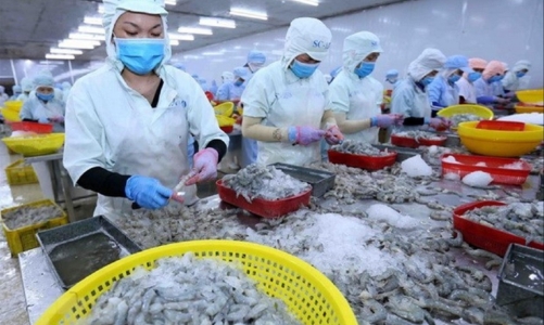 Xuất khẩu tháng 8 tăng trưởng 54% nhưng ngành thủy sản vẫn không vui, vì sao?