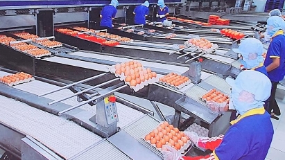 Businesses recovering but more support needed