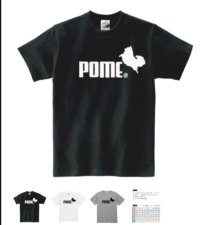 Những chiếc &aacute;o thun đang được b&agrave;y b&aacute;n của Kurokawa đều mang phong c&aacute;ch giễu nhại c&aacute;c nh&atilde;n hiệu nổi tiếng.