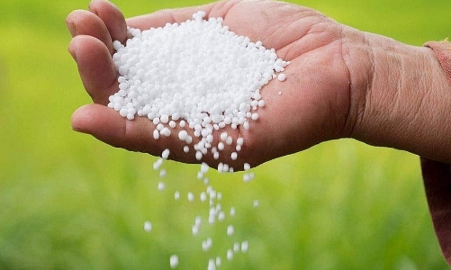 Nhiều yếu tố ủng hộ giá Ure giảm trong thời gian tới