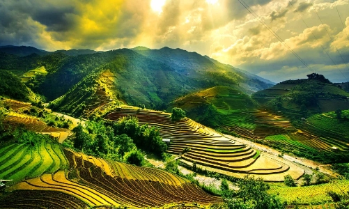 Lượng tìm kiếm quốc tế về du lịch Việt Nam tăng mạnh