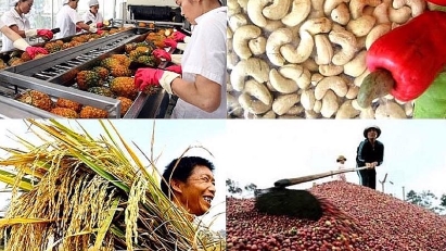 8M agro-forestry-fisheries export value up 13%