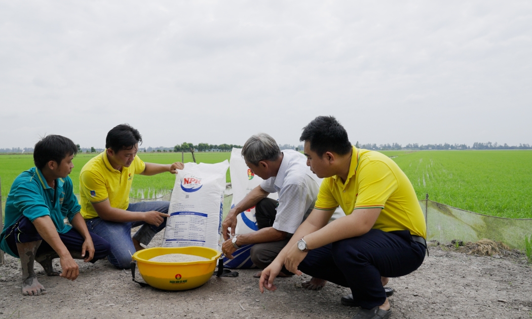Nhà máy Đạm Cà Mau chính thức có sản phẩm vào ngày 4/9/2022 và đang tiến hành nâng công suất dần lên 115% theo kế hoạch.