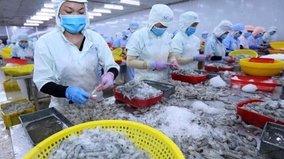 Seafood exports slowing