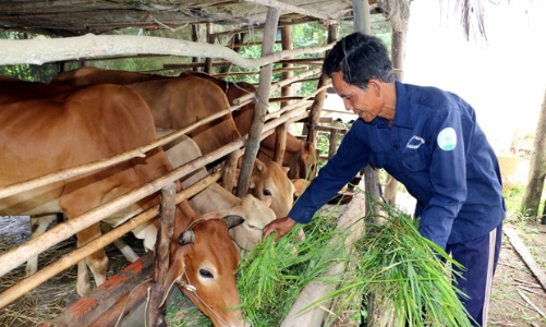 Nỗ lực giảm nghèo đa chiều: Phía trước còn nhiều thách thức