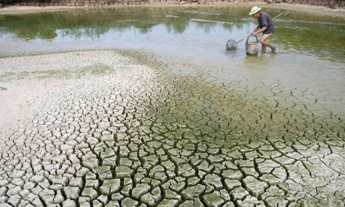 Phát triển kinh tế trong bối cảnh biến đổi khí hậu