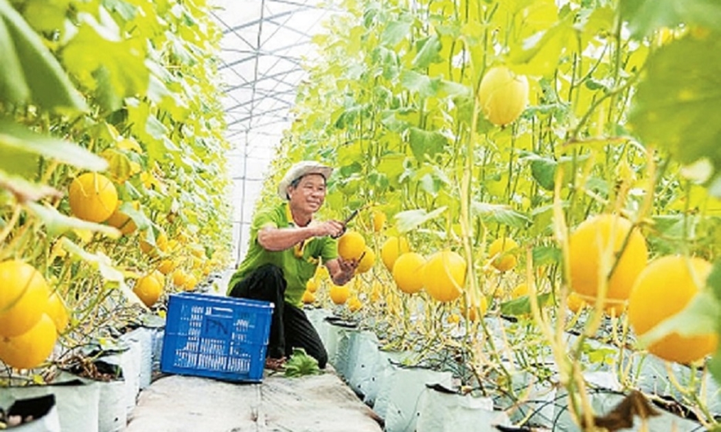 Khu vực đồng bằng sông Cửu Long có rất nhiều nông thuỷ sản tiềm năng.