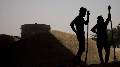 Opportunities to come from India taxing rice exports