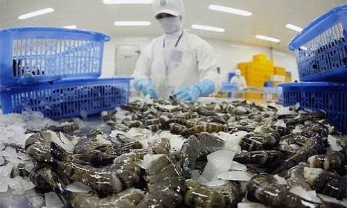 Hoa Kỳ tiếp tục duy trì thuế chống bán phá giá đối với tôm nước ấm nhập khẩu từ Việt Nam