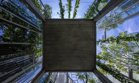 Ảnh: Hiroyuki Oki