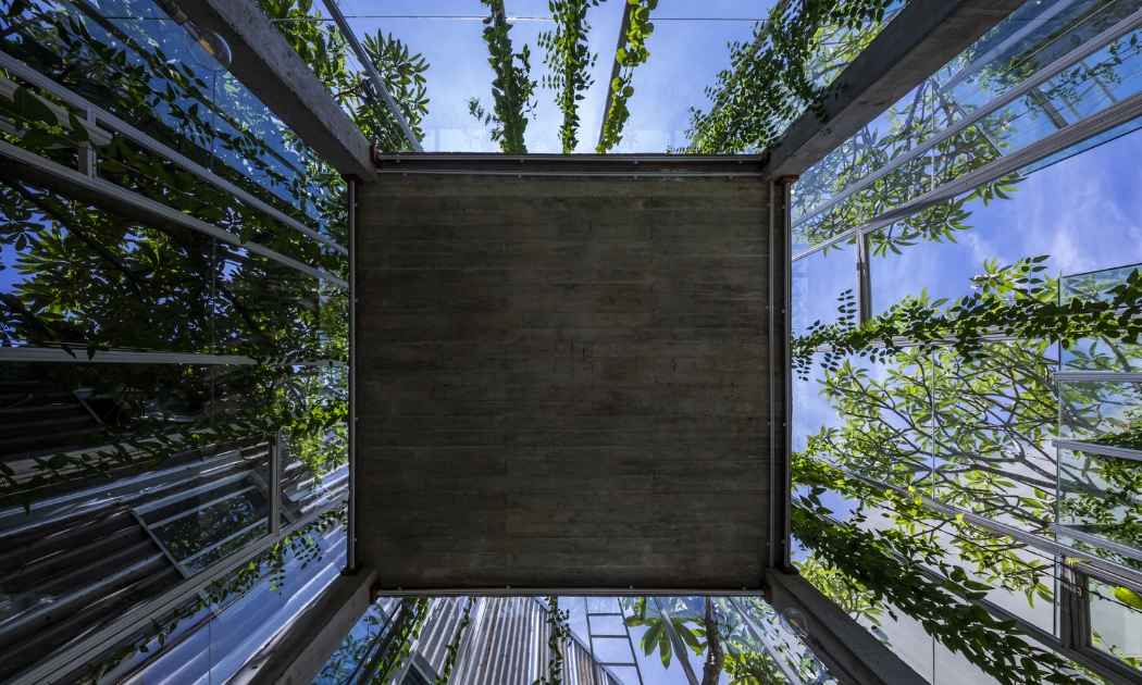 Ảnh: Hiroyuki Oki