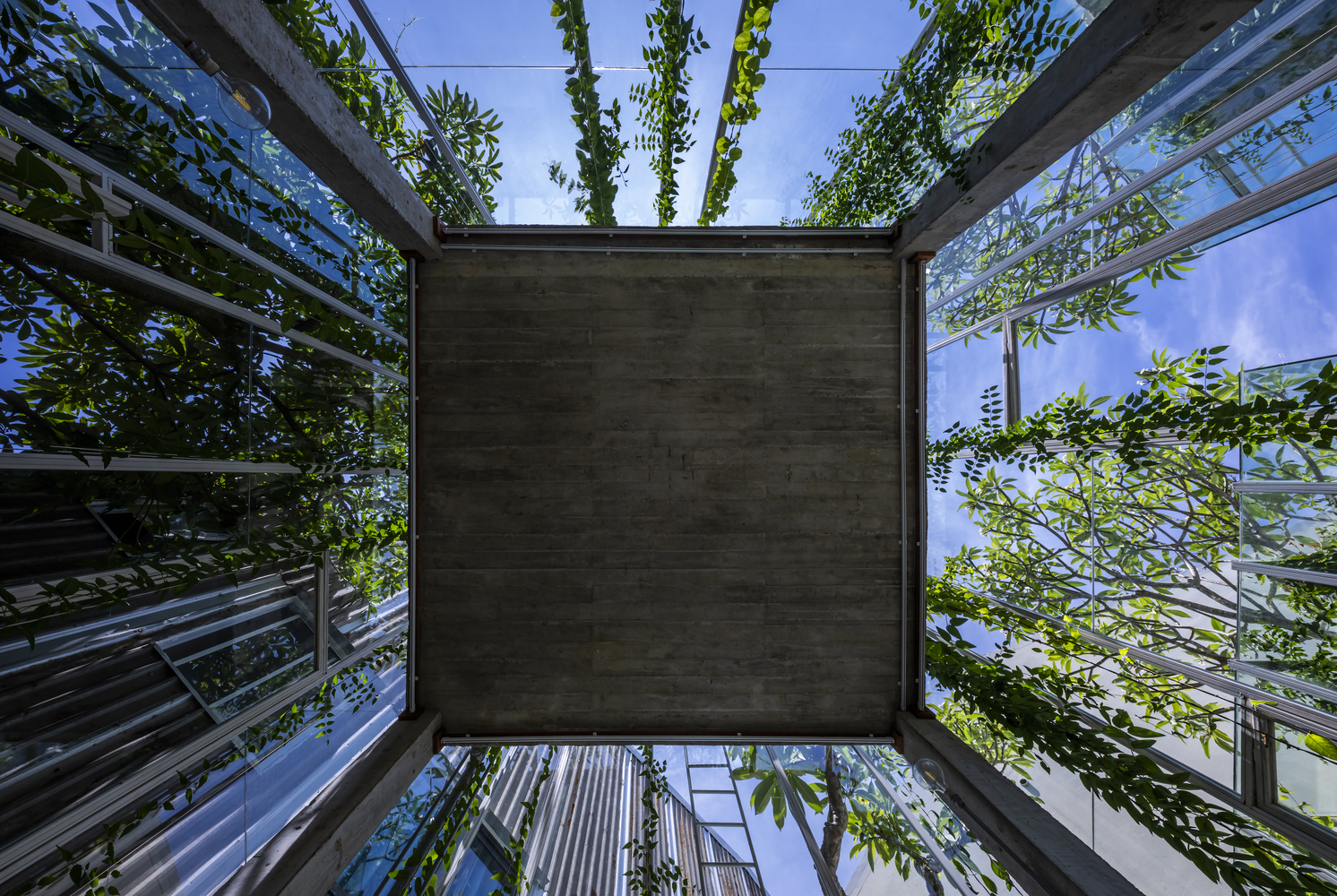 Ảnh: Hiroyuki Oki