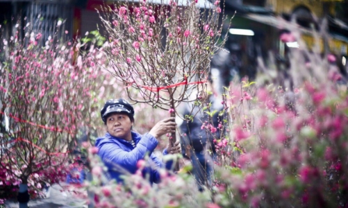 Nghỉ Tết sớm 1 – 2 ngày không ảnh hưởng nhiều đến doanh nghiệp