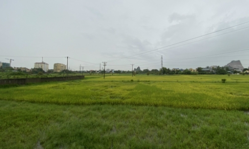 Hủy kết quả 5 gói thầu sơ tuyển dự án có sử dụng đất trên địa bàn thành phố Thanh Hóa