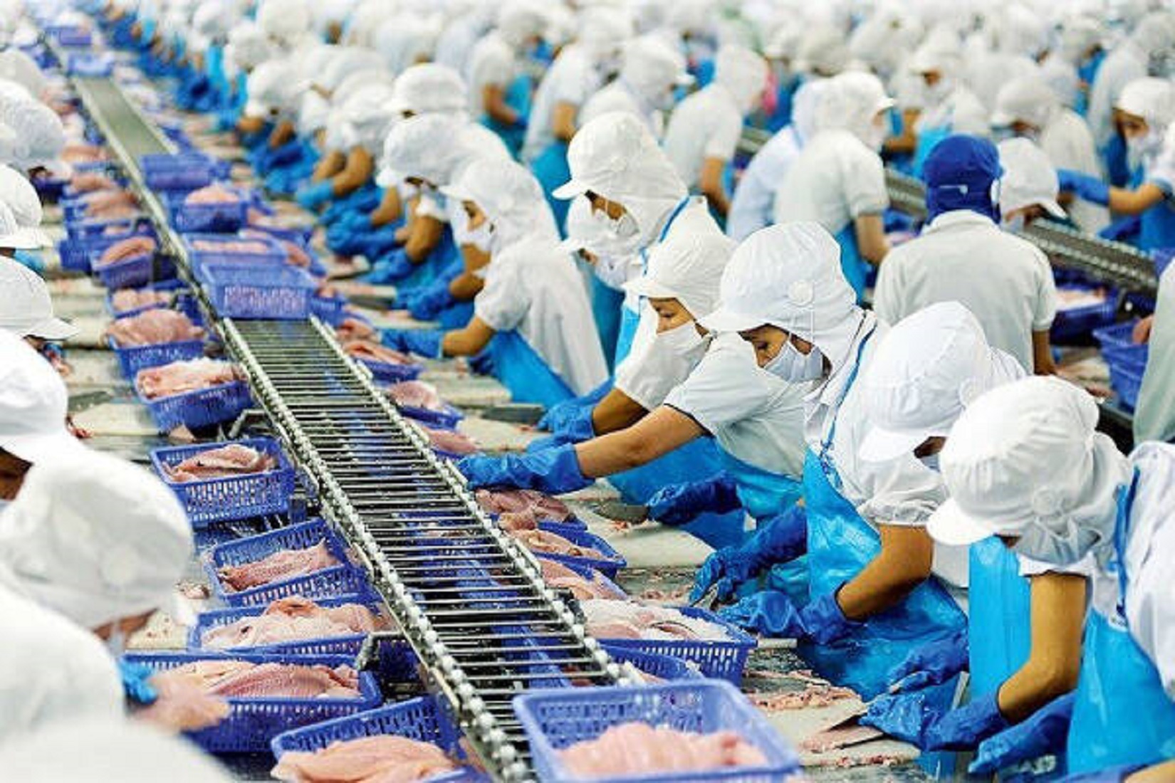 Xuất khẩu thủy sản sang Nga tăng trưởng mạnh mẽ kể từ thang 7/2022