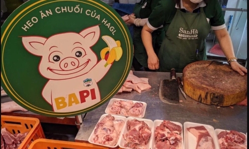 8 tháng, HAG báo lãi 781 tỷ, bằng 69% kế hoạch năm