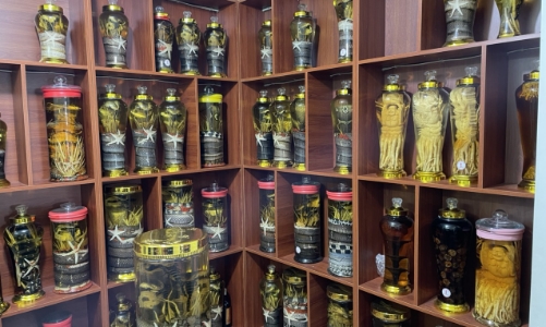 Hà Nội thu giữ gần 1.000 lít rượu ngâm động vật