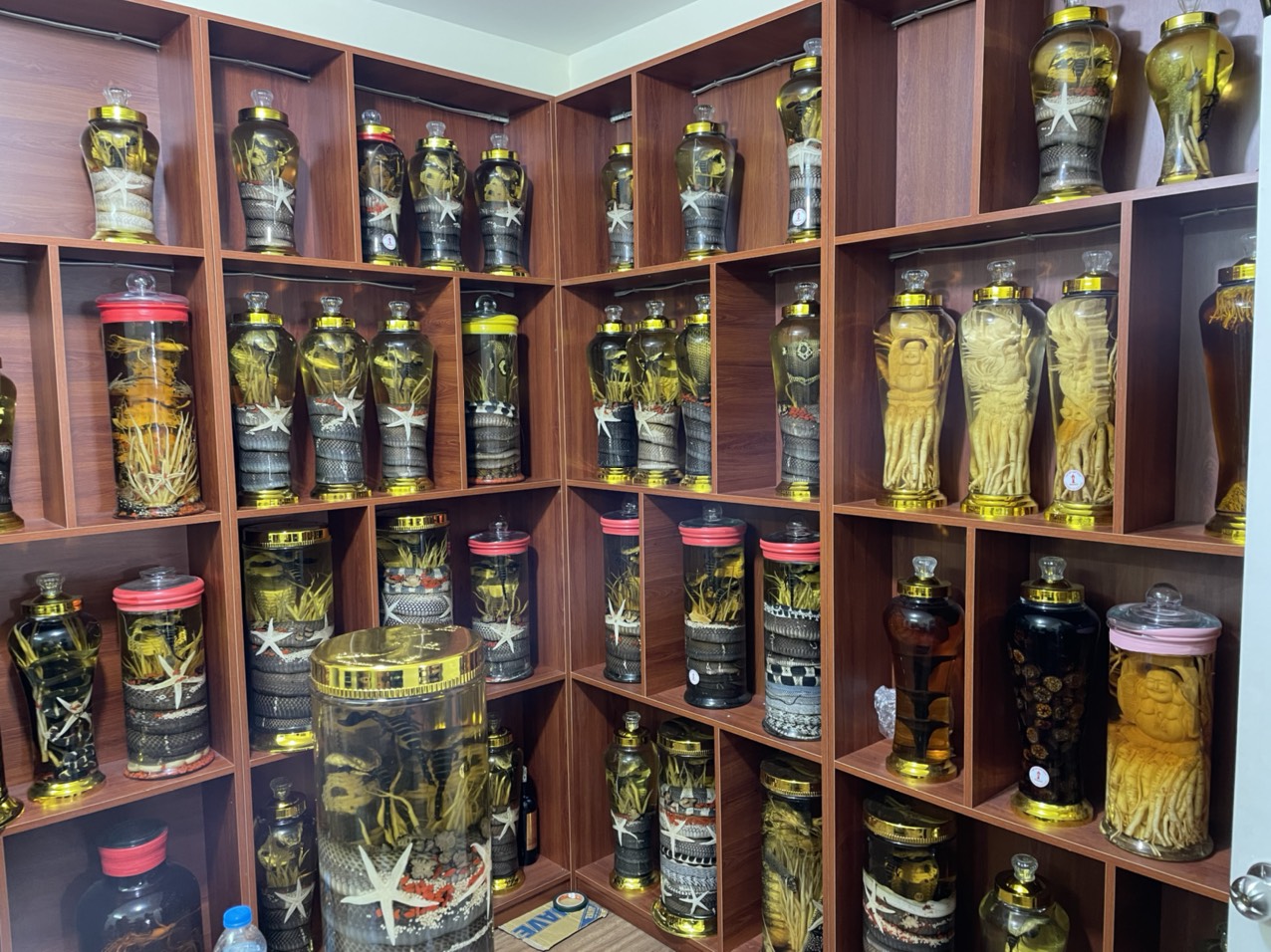 Cơ sở rượu ngâm động vật bị phát hiện, xử lý