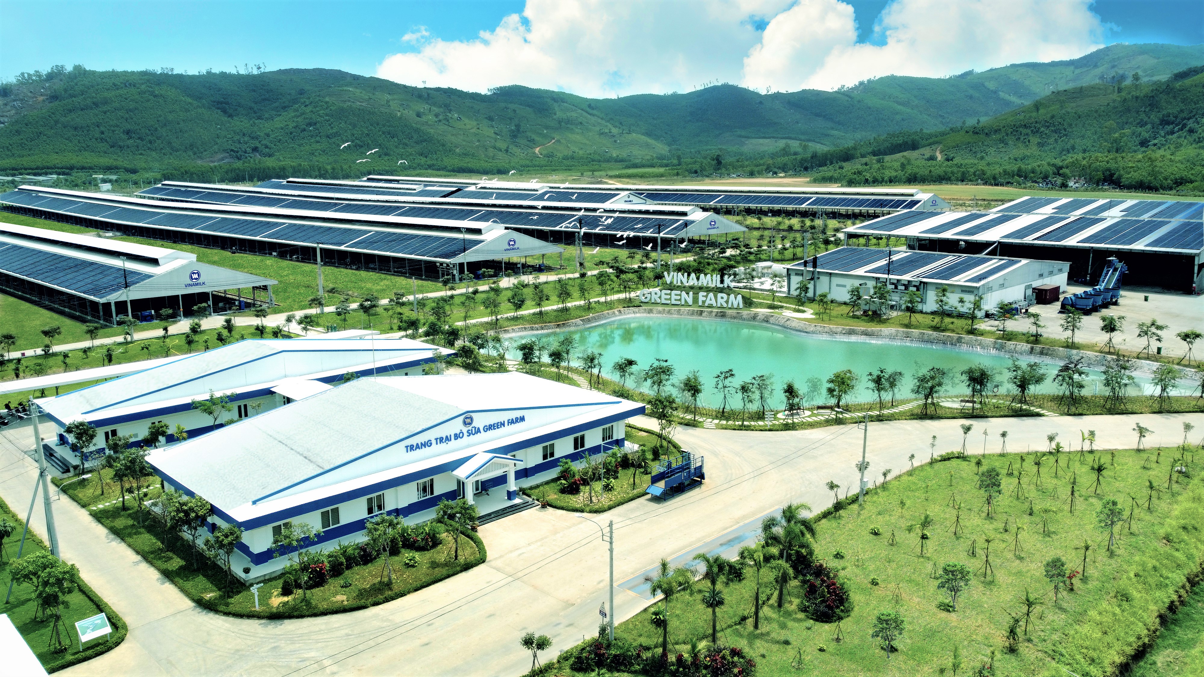 Vinamilk hiện có 3 trang trại sinh thái Vinamilk Green Farm tại Tây Ninh, Thanh Hóa, Quảng Ngãi với hơn 20.000 bò sữa.